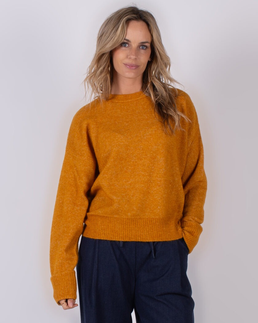 Vrouw poseert in een okergele gebreide trui en donkerblauwe broek uit de Studio AW25-26 collectie.